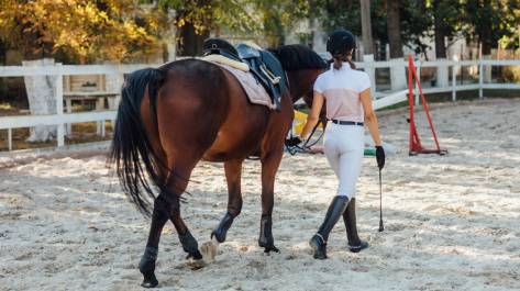 Equestrian Events in NZ